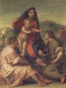 Andrea del Sarto The Madonna of the Stair (san05) oil on canvas